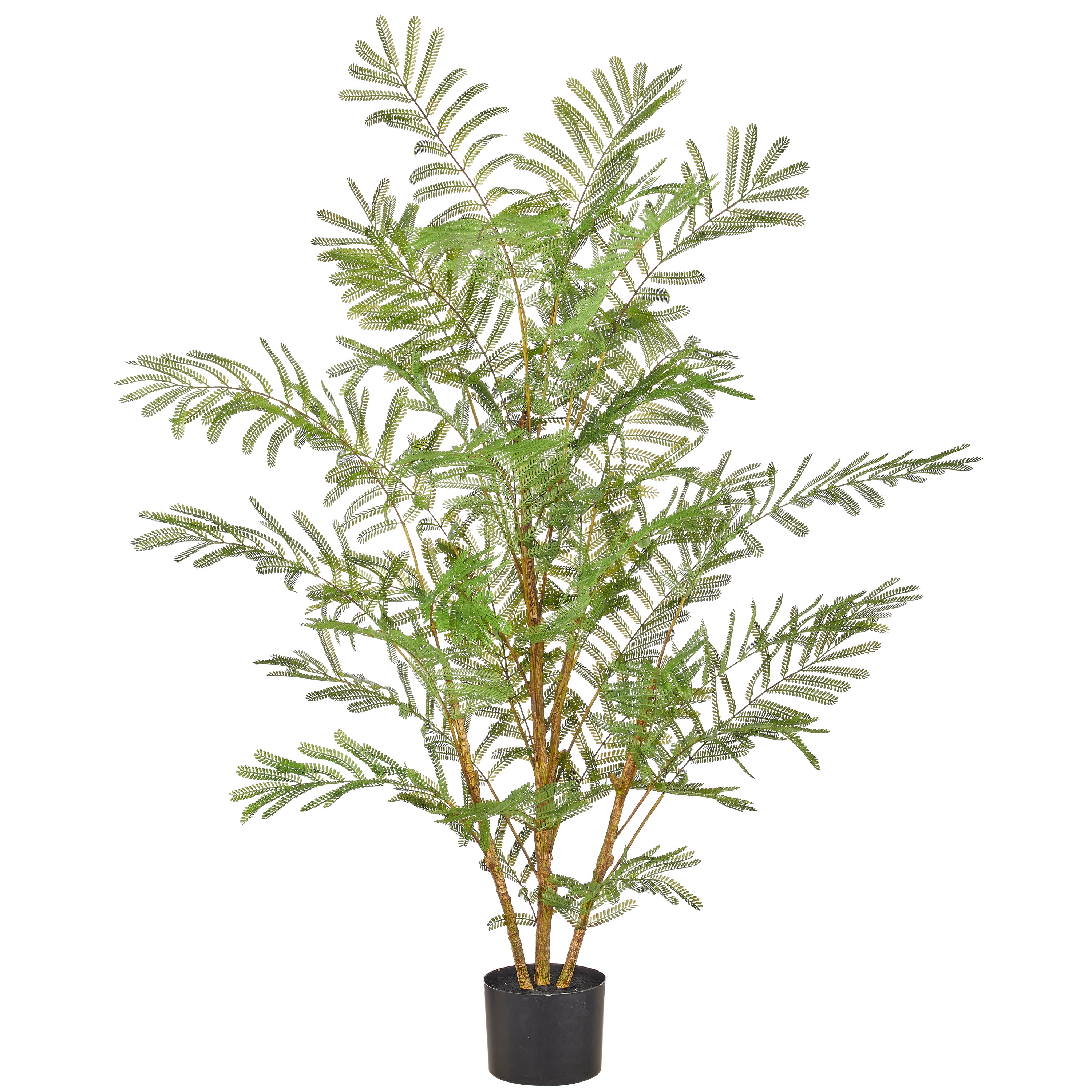 Jacaranda mimosifolia x4, 130cm, gruen, Kunststoff, im Kunststofftopf 15x12cm