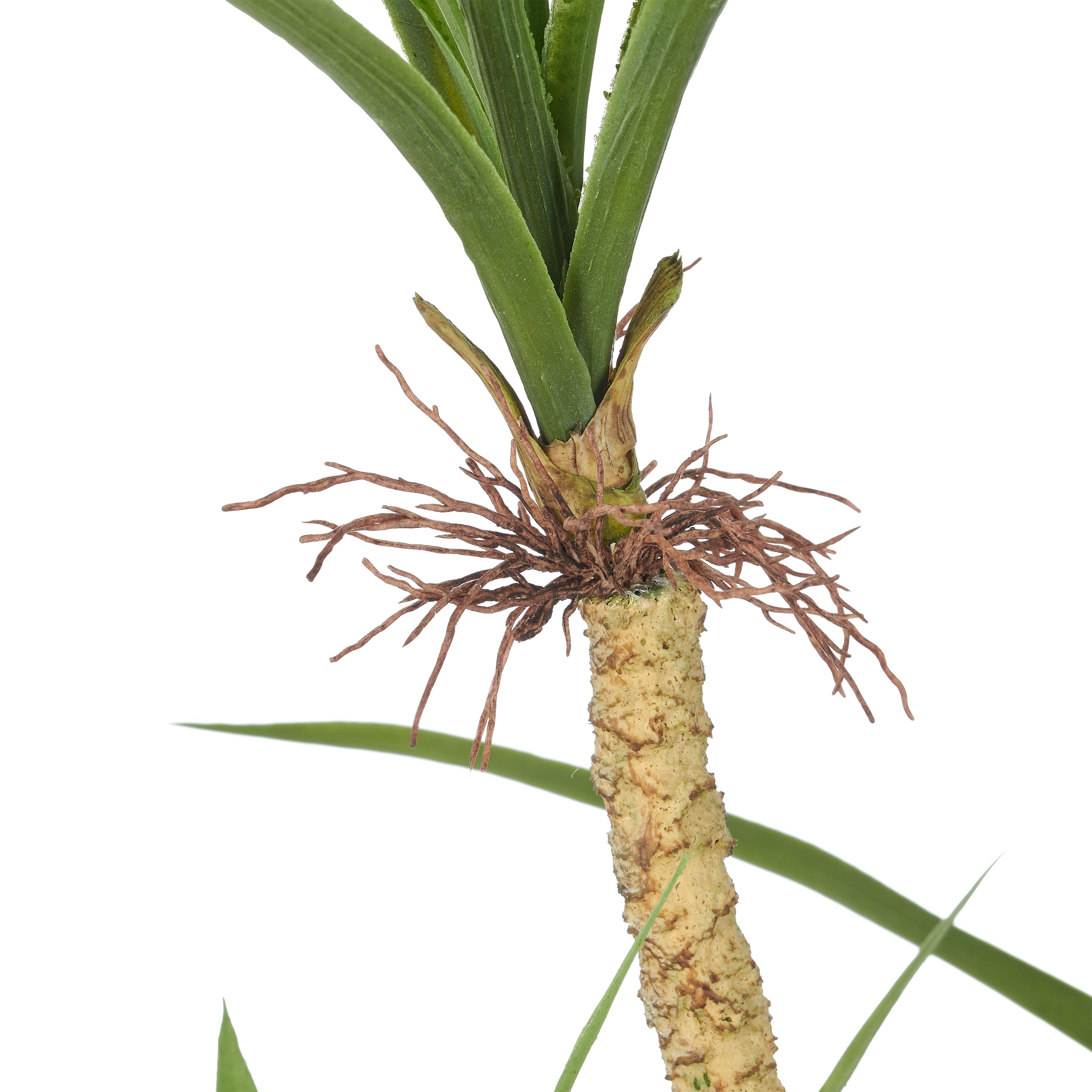 Dracaena marginata x6, 140cm, gruen, Kunststoff, im Kunststofftopf 15x12cm