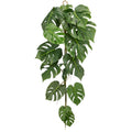 Split Philodendron Haenger x16, 120cm, gruen