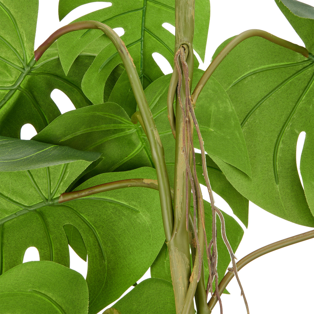 Split Philodendron Haenger x16, 120cm, gruen
