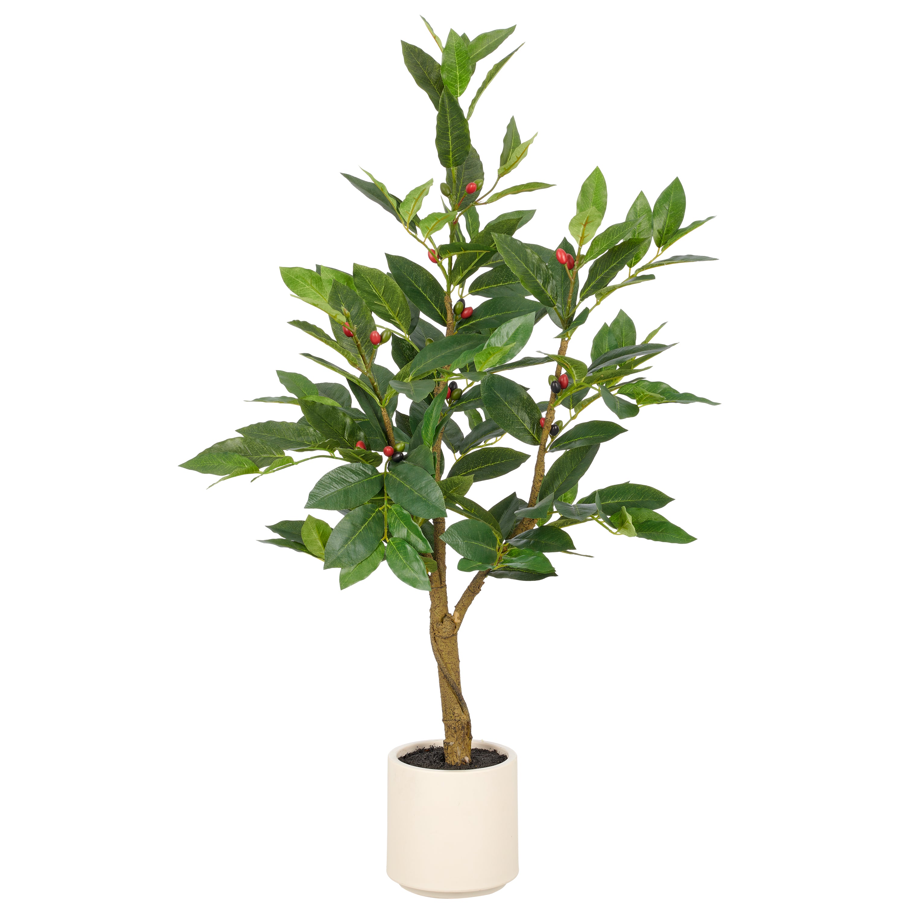 Coffea Baum, 168 Bl., 34 Fruechte, 95cm, gruen, im Kunststofftopf creme 15x16cm