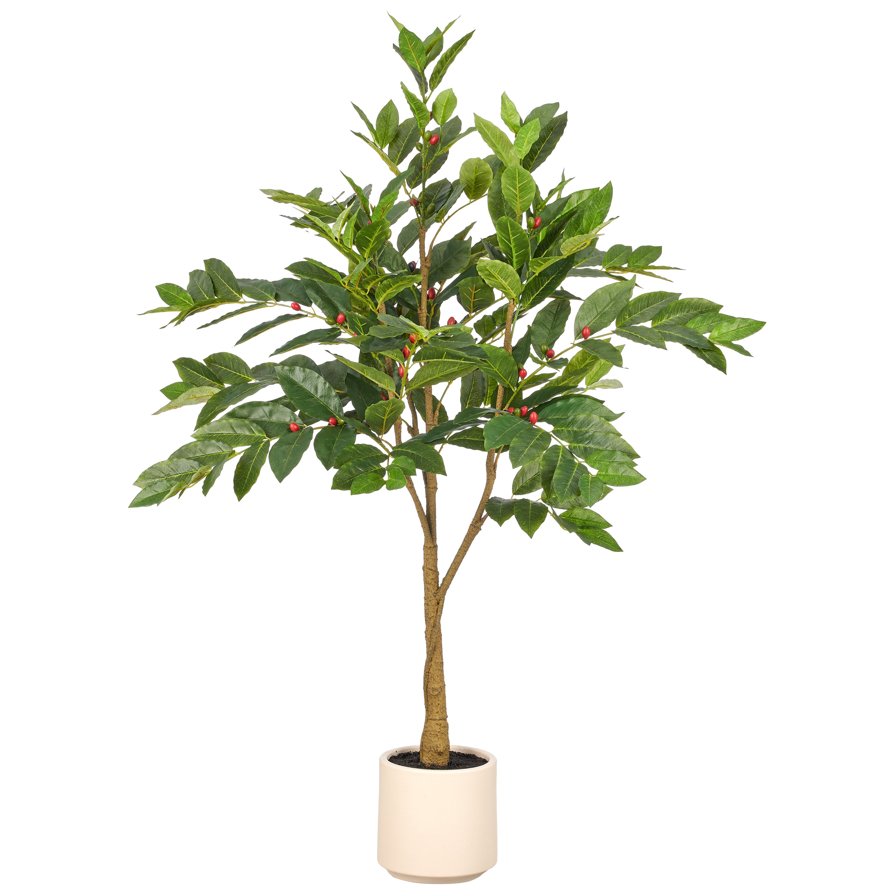 Coffea Baum, 274 Bl., 83 Fruechte, 120cm, gruen, im Kunststofftopf creme 17,5x17,5cm