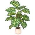 Philodendron birkin, 16 Bl., 120cm, gruen-weiss, im Kunststofftopf creme 21x22cm