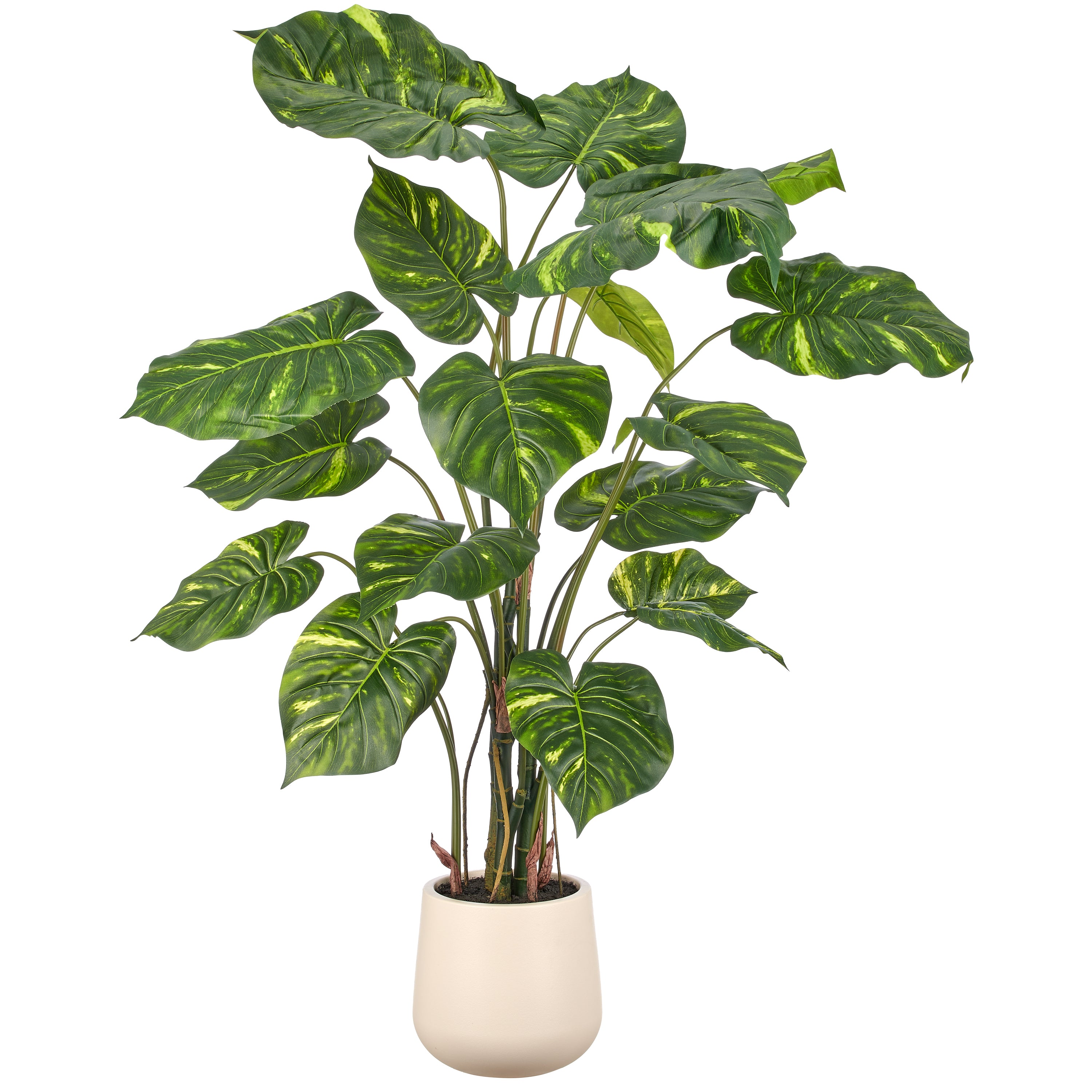 Epipremnum aureum, 19 Bl., 150cm, gruen-gelb, im Kunststofftopf creme 24x26cm