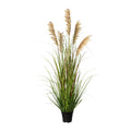 Rispenhirse im Topf, 122cm, gruen