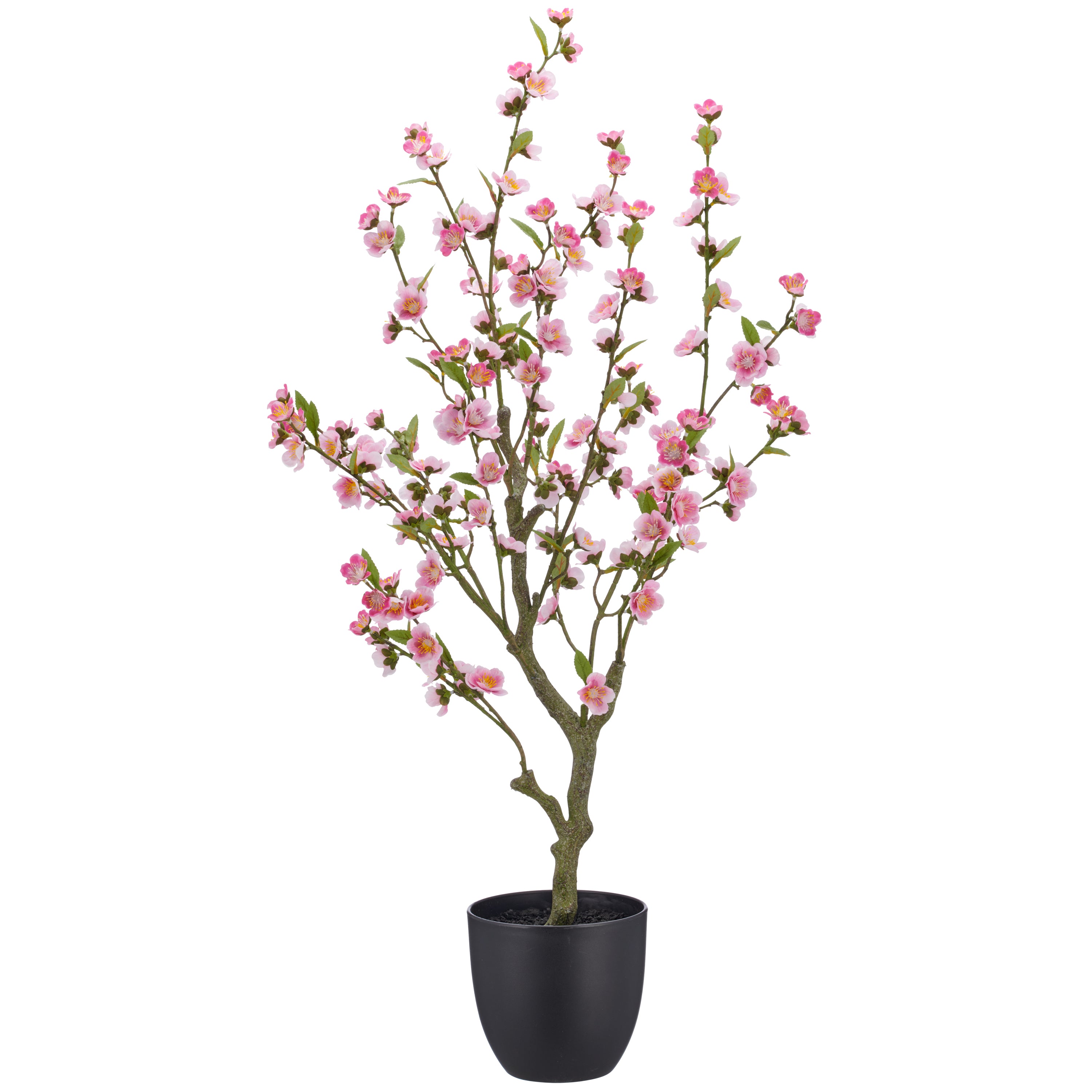 Kirschbluete, 105cm, rosa, im schwarzen Kunststofftopf 18x18x16,5cm