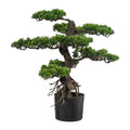 Bonsai, ca 65cm, gruen, Kunststoff, im Topf 14x12cm schwarz