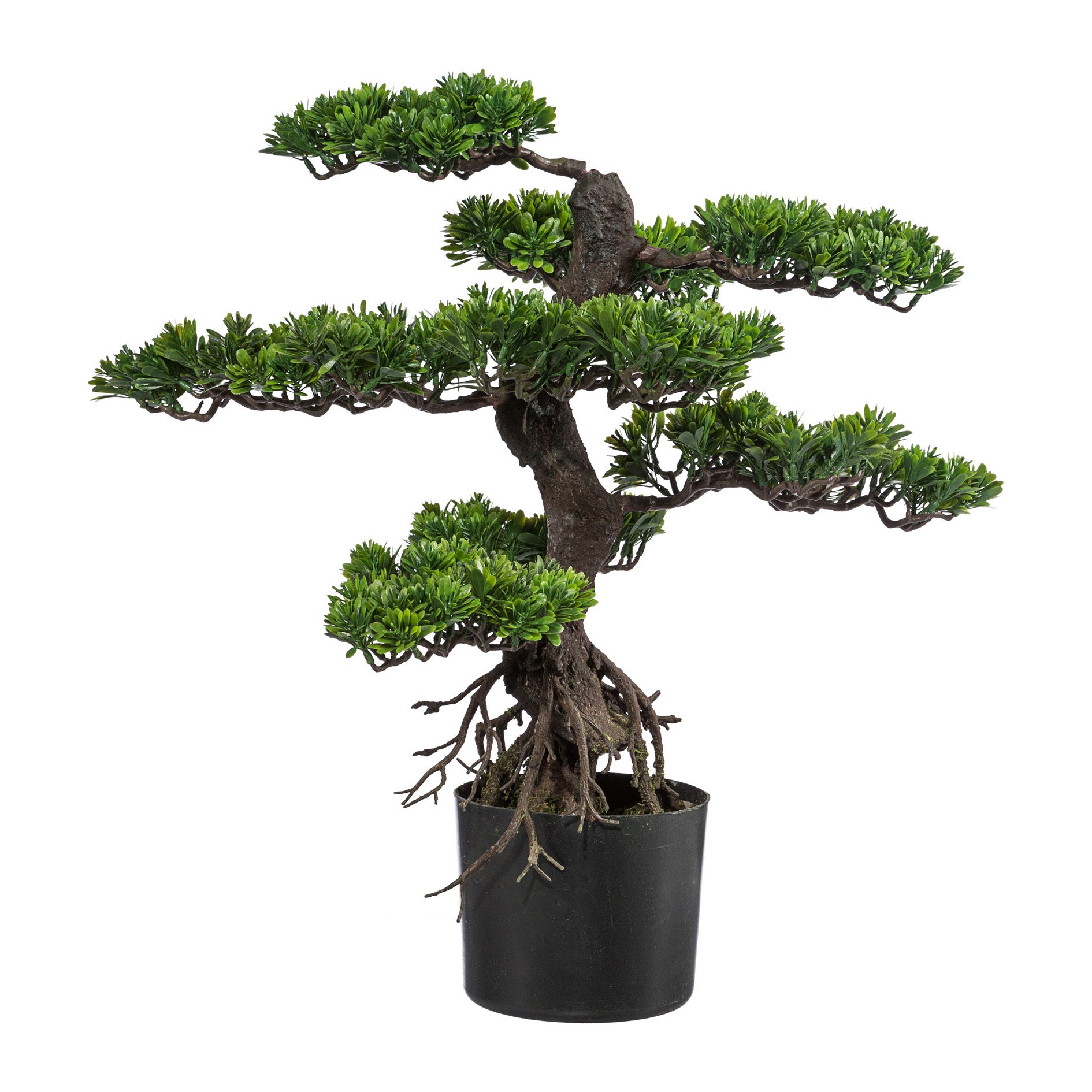 Bonsai, ca 65cm, gruen, Kunststoff, im Topf 14x12cm schwarz