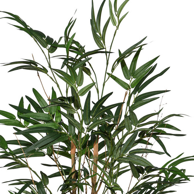 Bambus x7, ca 120cm, 560 Bl., im runden Kunststofftopf