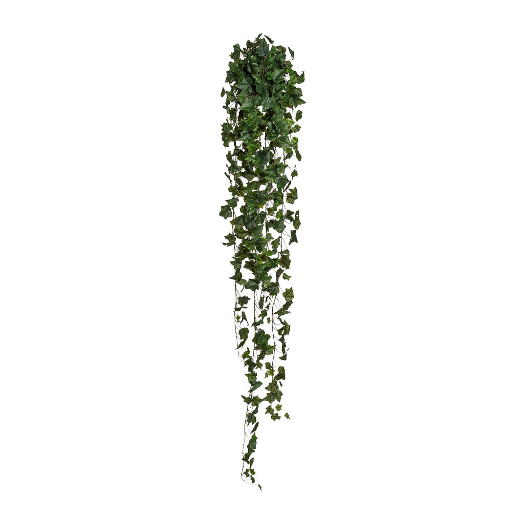 Engl. Efeuhaenger x17, 423 Bl., ca 170cm, gruen
