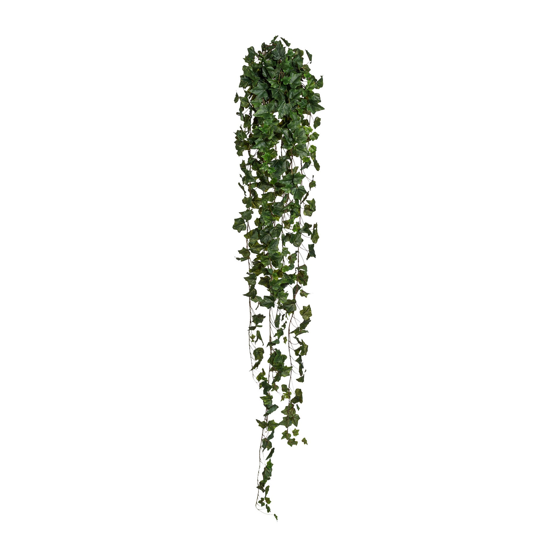 Engl. Efeuhaenger x17, 423 Bl., ca 170cm, gruen