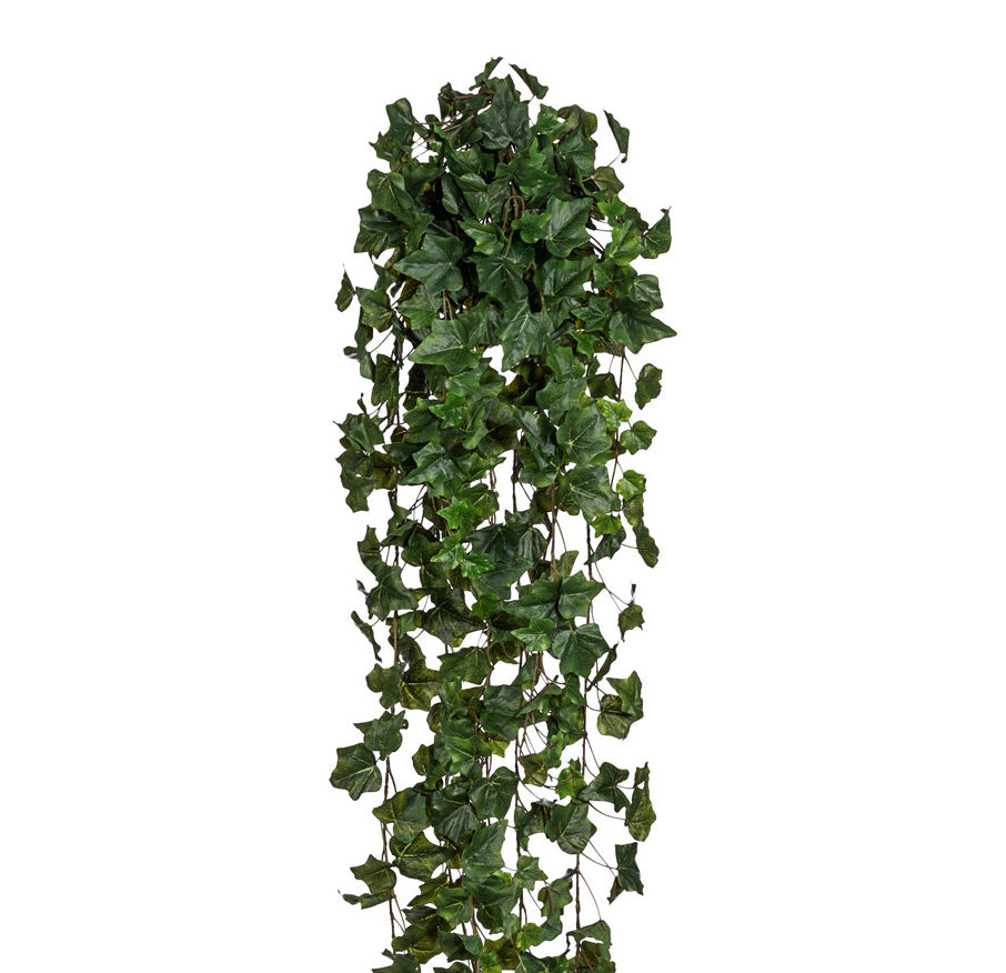 Engl. Efeuhaenger x17, 423 Bl., ca 170cm, gruen