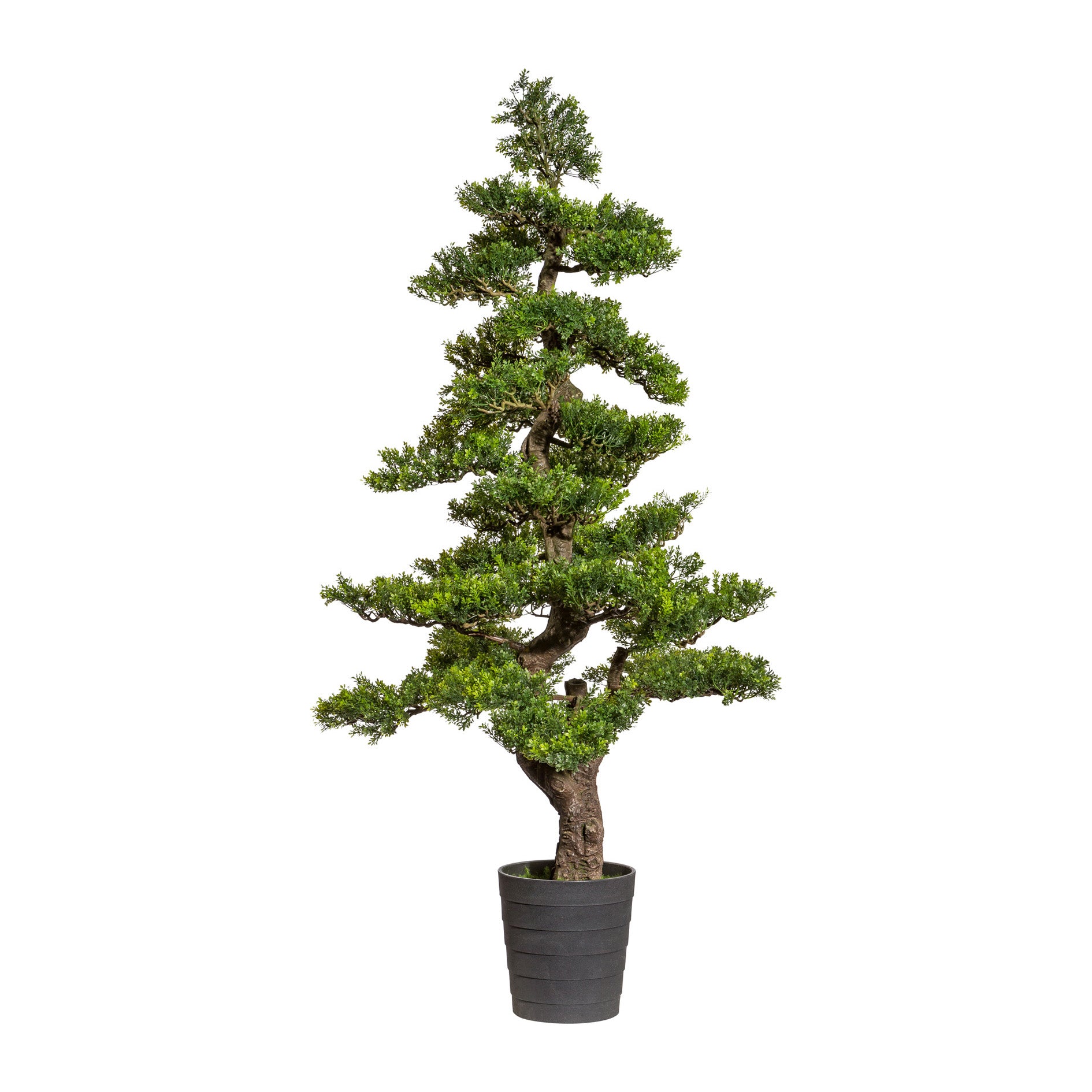 Bonsai Teeblatt, ca 160cm, gruen, Kunststoff, im Topf 23x21x21cm schwarz