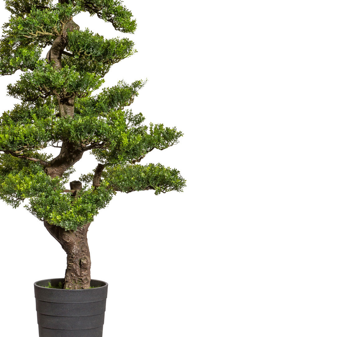 Bonsai Teeblatt, ca 160cm, gruen, Kunststoff, im Topf 23x21x21cm schwarz