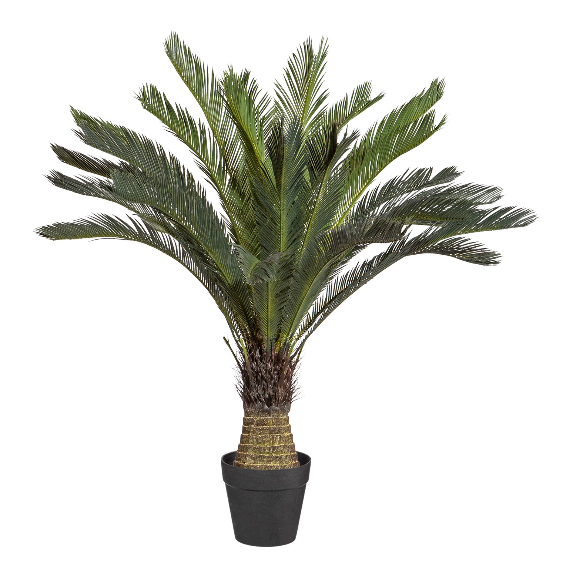 Cycaspalme x32, 130cm, gruen, im Kunststofftopf 28x17,5cm