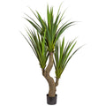 Agave x3, ca 160cm, gruen, auf Stamm, im Kunststofftopf 15x14cm