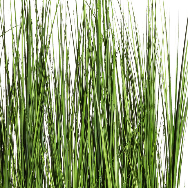 Gras Raumteiler, ca. 125cm, gruen, im Kunststoffkasten 13x61x10cm