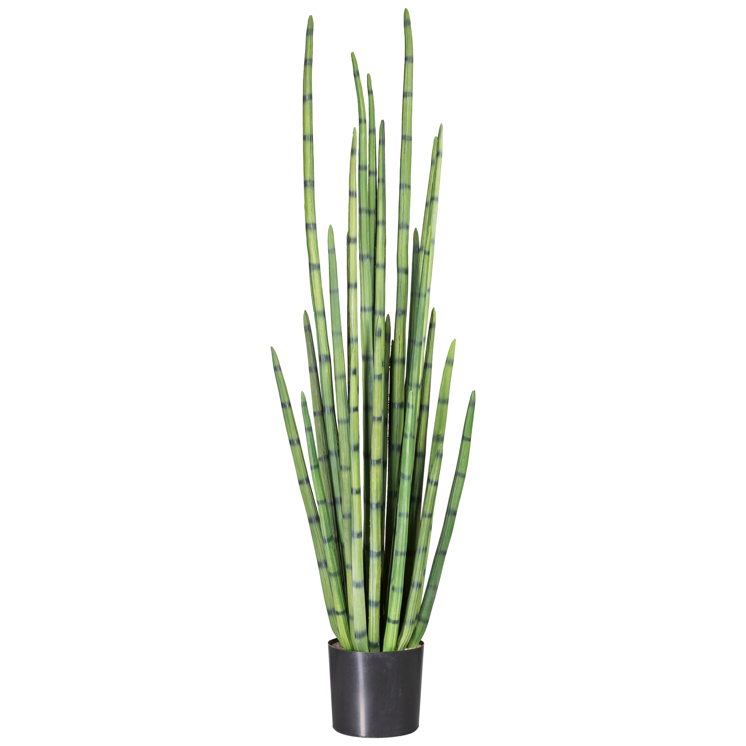 Sansevieria cylindrica x27, 140cm, PU, gruen, im einf. Kunststofftopf 17x17cm