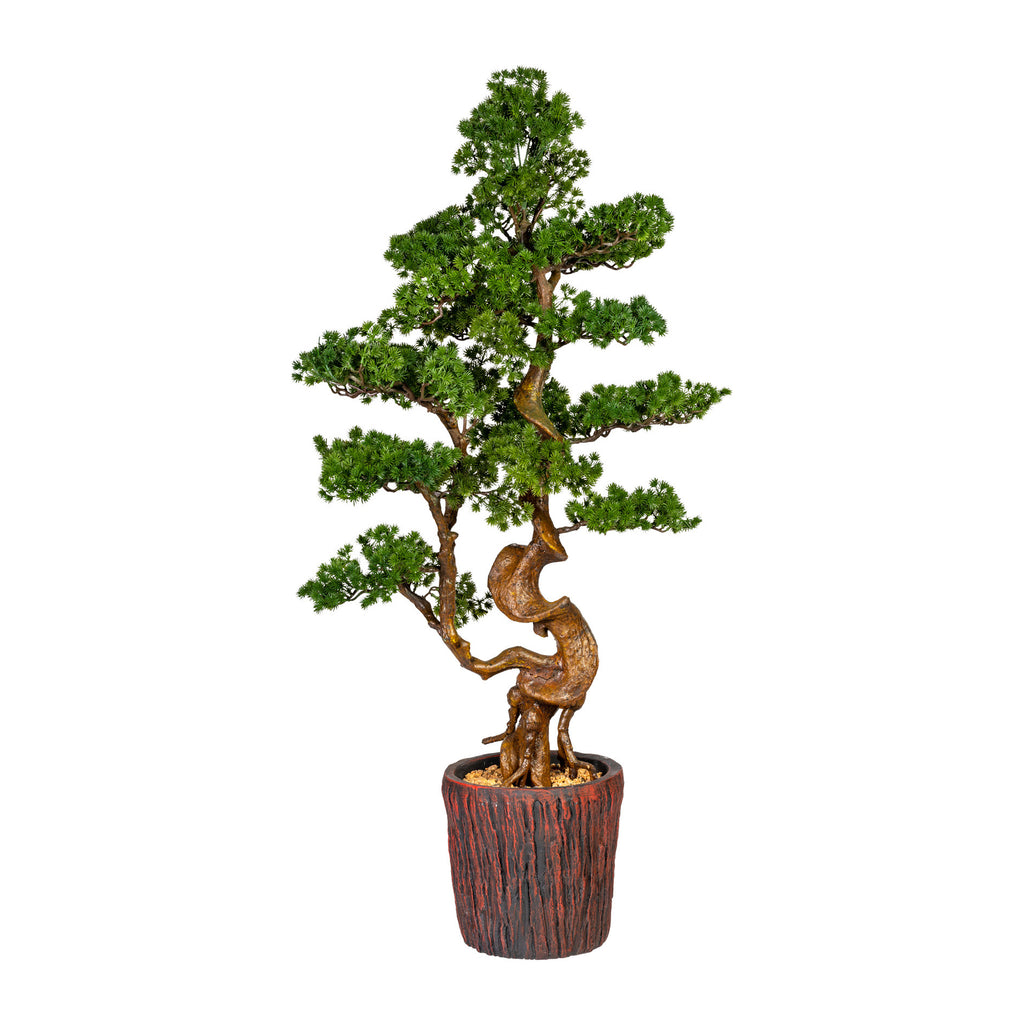 Bonsai Laerche, ca 125cm, gruen, im Magnesiatopf 26x26cm, braun, Kunststoff