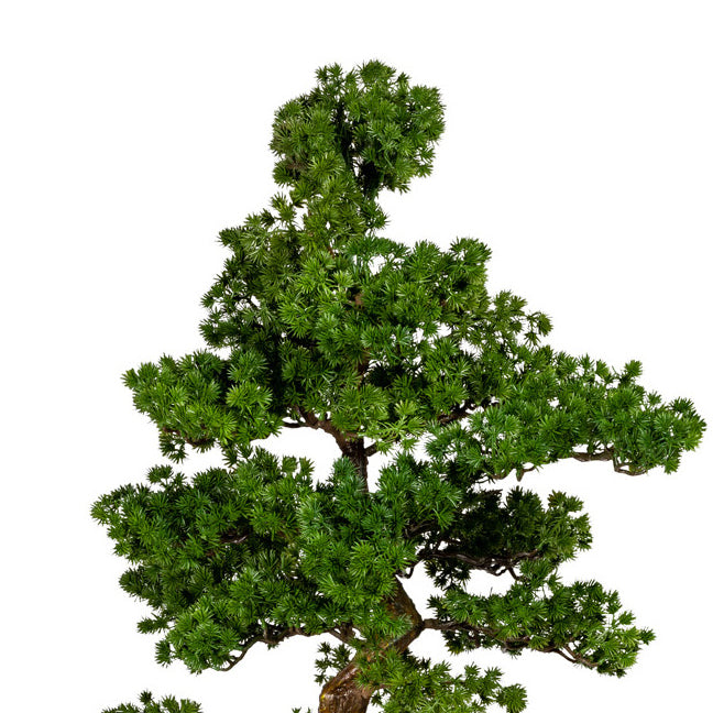Bonsai Laerche, ca 155cm, gruen, im Magnesiatopf 26x26cm, braun, Kunststoff