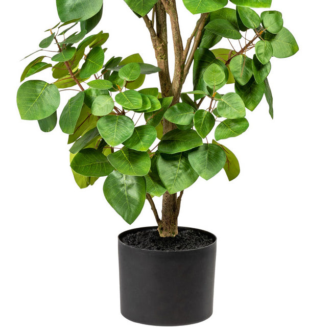 Eukalyptus, gruen ca 120cm, im einf. Kunststofftopf 15x12cm