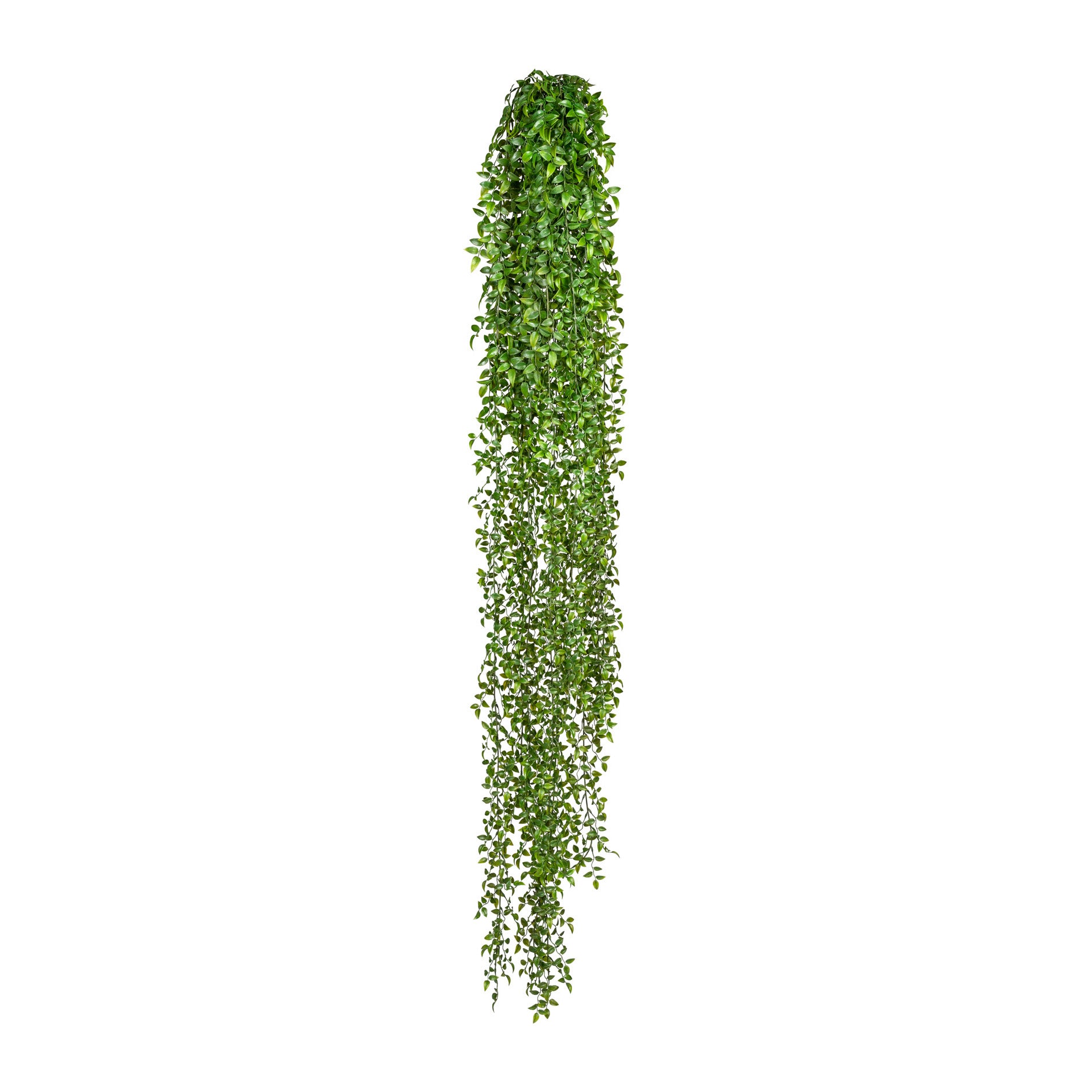 Ruscushaenger x9, ca 160cm, Kunststoff, gruen 1/Poly
