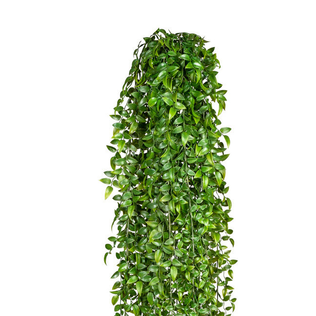 Ruscushaenger x9, ca 160cm, Kunststoff, gruen 1/Poly