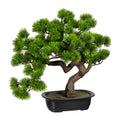 Bonsai Kiefer ca 40x40cm, in Kunststoffschale 22x15x6cm, schwarz, Kunststoff
