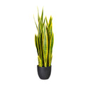 Sansevieria x29, ca 90cm, gruengelb, im Kunststofftopf 17,5x16,5cm, m.Erde