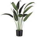 Wassercanna x12 Bl., ca 90cm, im schwarzen Kunststofftopf mit Erde