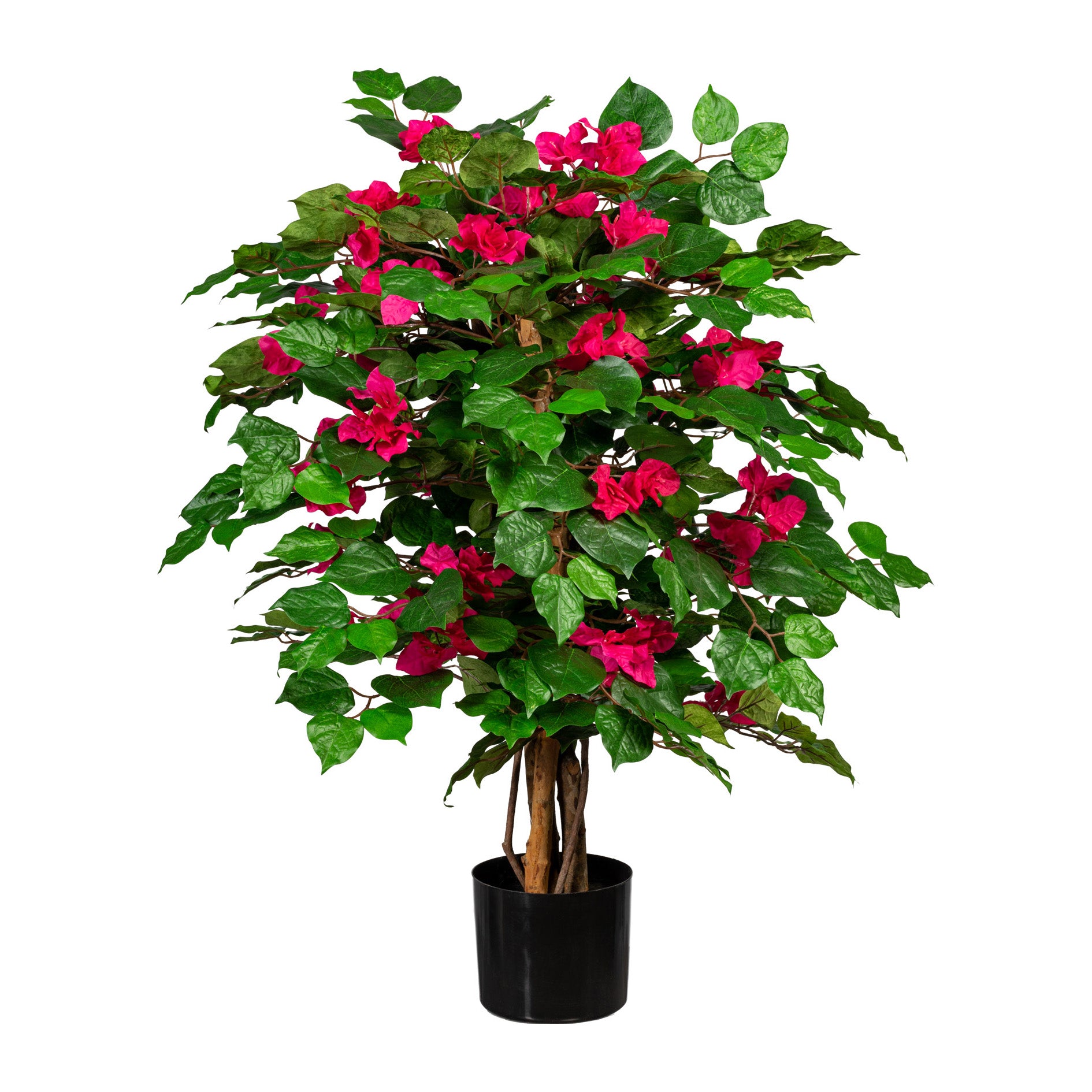 Bougainvillea 450 Bl. ca 100cm, cerise, Naturstamm, UV-bestaendig, im Kunststofftopf 14,5x13cm, m.Erde