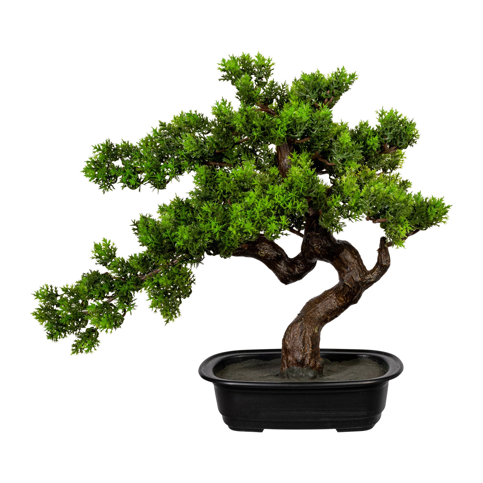 Bonsai Myrte ca 40x40cm, in Kunststoffschale 22x15x6cm, schwarz, Kunststoff