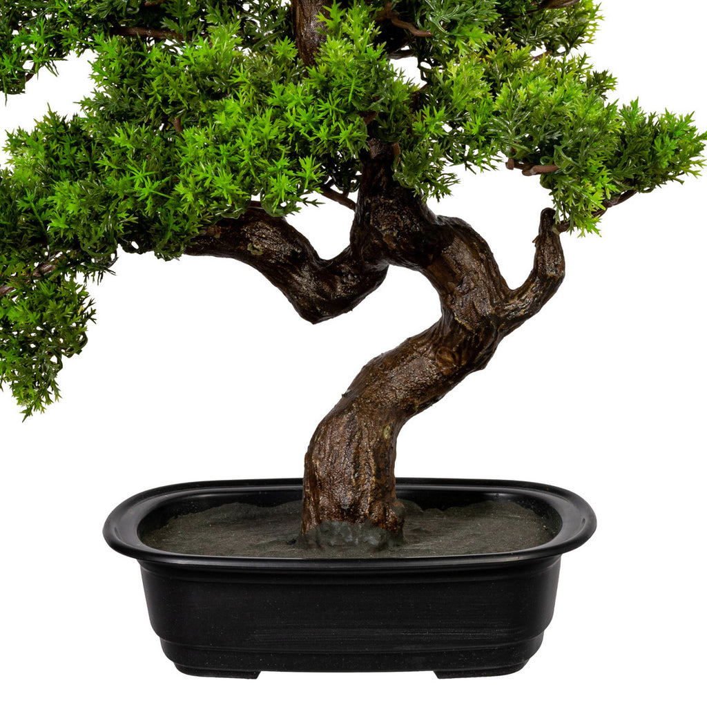 Bonsai Myrte ca 40x40cm, in Kunststoffschale 22x15x6cm, schwarz, Kunststoff