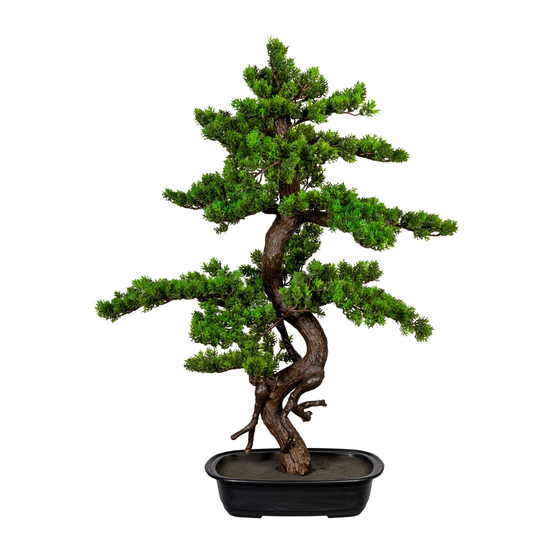 Bonsai Myrte, ca 85x55cm, in schwarzer Kunststoffschale 33x22x8cm