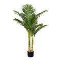 Arecapalme x2, ca 120cm, 9 Wedel, im Kunststofftopf 15x13cm,schwarz, mit Erde