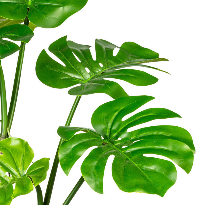 Splitphilodendron x8 Blaetter, ca 75cm, im Kunststofftopf 15x13cm m. Erde, Kunststoff, PU-Stamm