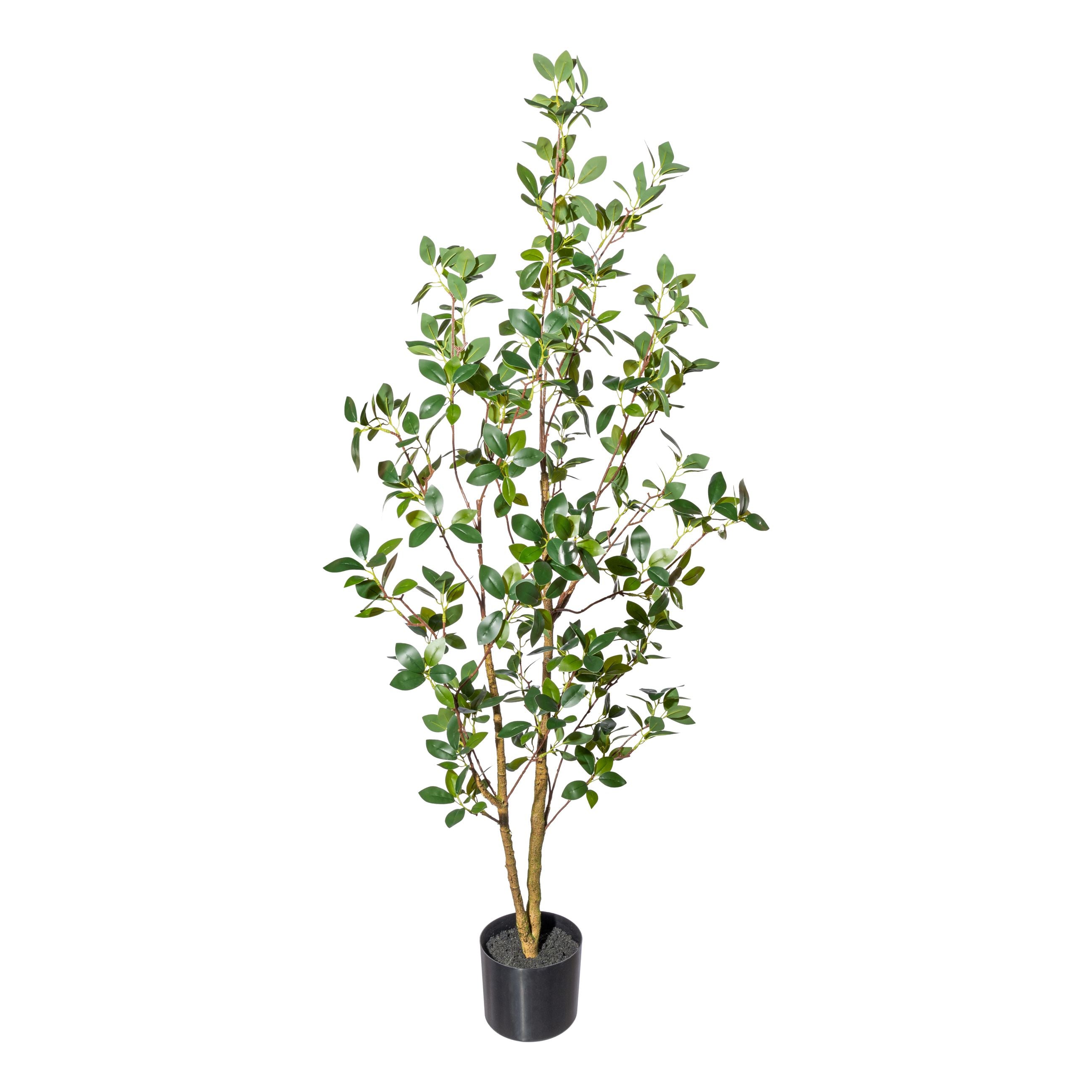 Ficus ginseng x2,ca 130cm; PU-Stamm im Kunststofftopf 15x12,5cm, mit Erde