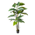 Colocasia x19 Blaetter, ca 180cm gruen, PU-Stamm im Kunststofftopf 16,5x14,5cm schwarz, mit Erde