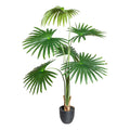 Washingtonia x6 Blaetter, ca 120cm gruen,im Kunststofftopf 15,5x14,5cm,schwarz, mit Erde