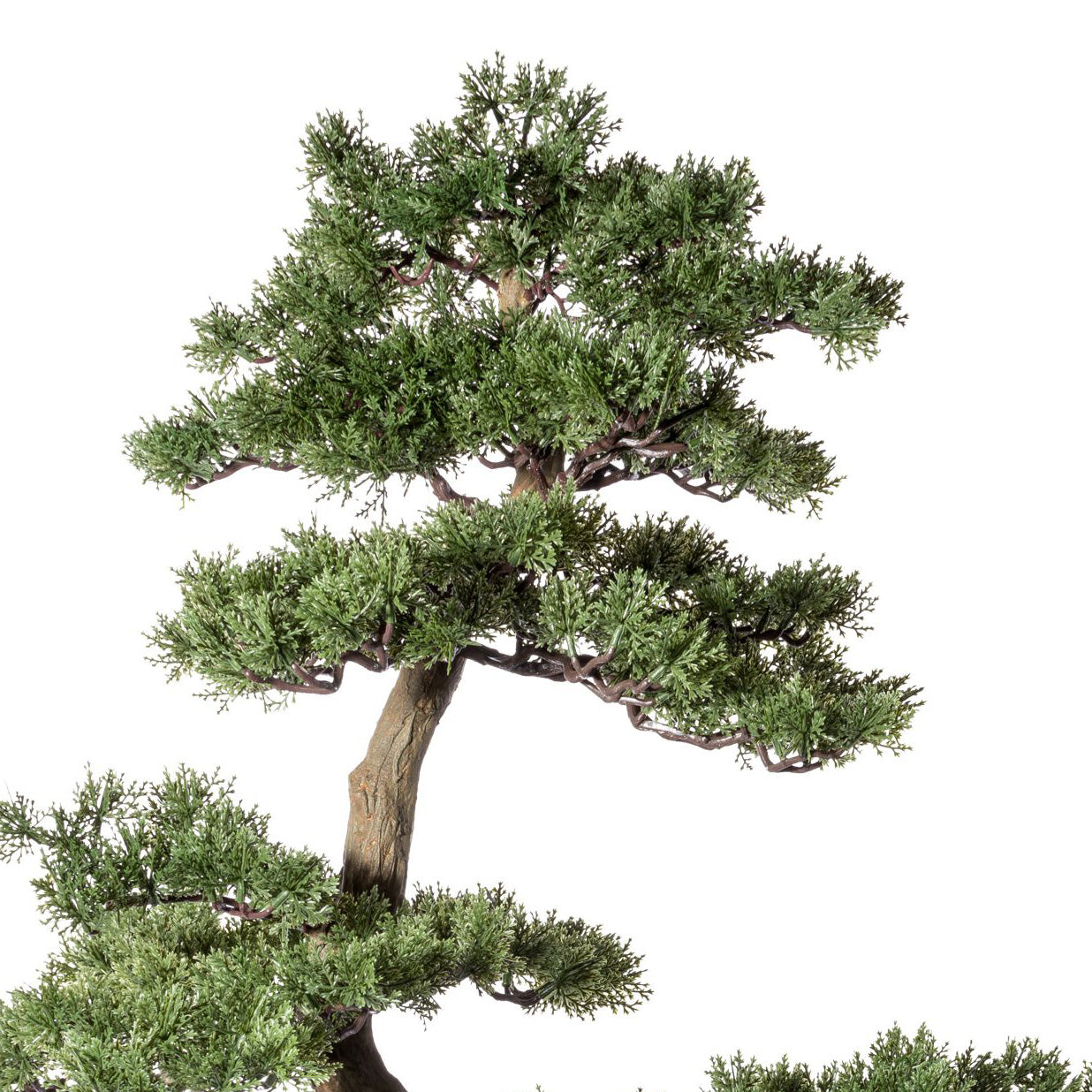 Bonsai Zeder ca 100x60cm, in Kunststoffschale 33x22x8cm, schwarz, Kunststoff