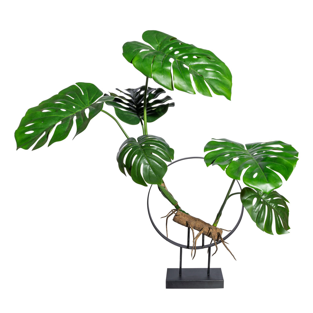 Dekoobjekt Splitphilodendron x8 Blaetter,ca 100cm,mit Kunstholz und Wurzeln auf Metallstaender 57cm,D40cm, Sockel 25x10x4cm