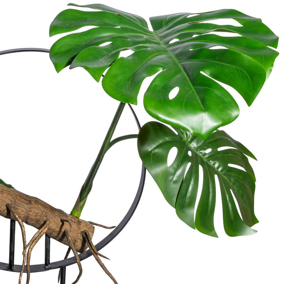 Dekoobjekt Splitphilodendron x8 Blaetter,ca 100cm,mit Kunstholz und Wurzeln auf Metallstaender 57cm,D40cm, Sockel 25x10x4cm
