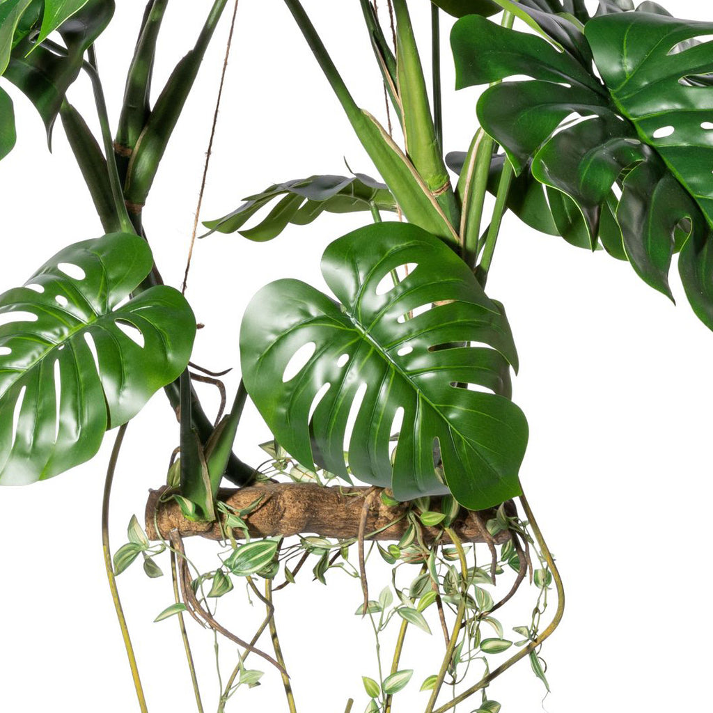 Splitphilodendron Haengeobjekt x15 Blaetter,H ca 100cm,mit Kunstholz,Wurzeln und Ranken