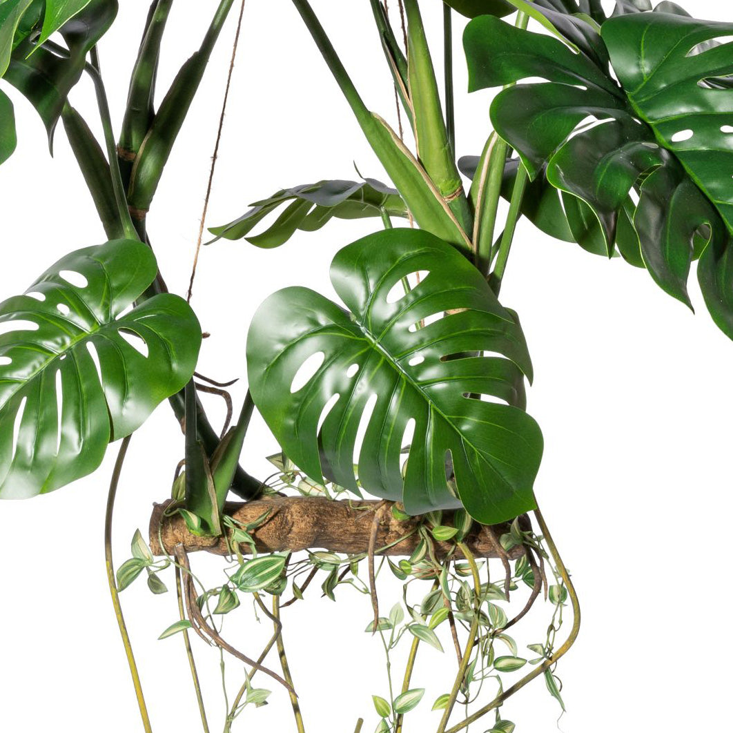 Splitphilodendron Haengeobjekt x15 Blaetter,H ca 100cm,mit Kunstholz,Wurzeln und Ranken