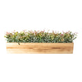 Teeblatt Kunststoff,ca 16cm gruenbraun im Holzkasten 52x10x9cm natur mit Kies