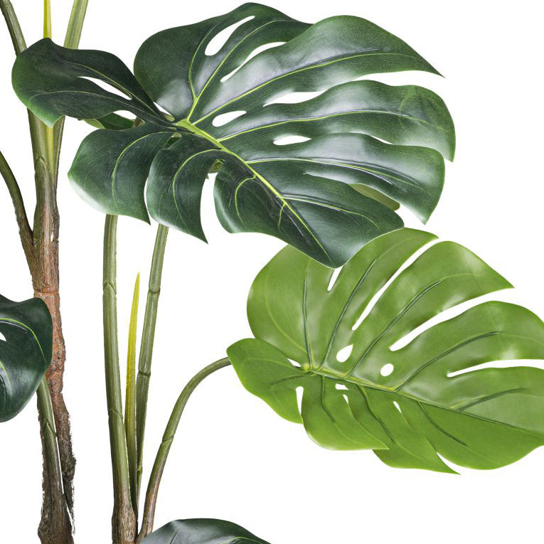 Splitphilodendron x12 Blaetter 140cm gruen,im Kunststofftopf 17x15cm mit Erde