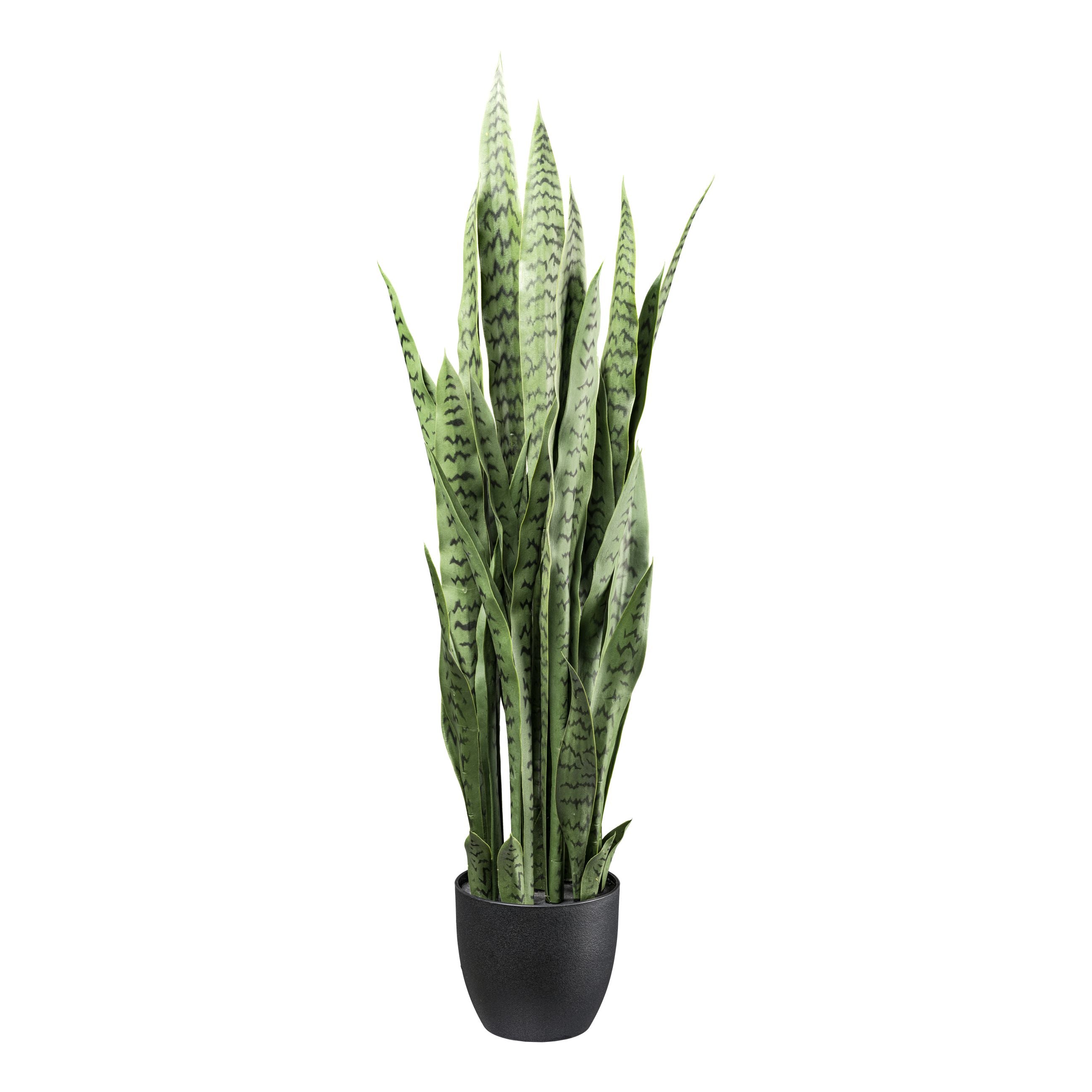 Sansevieria, 110cm gruen, im Kunststofftopf 19x17cm