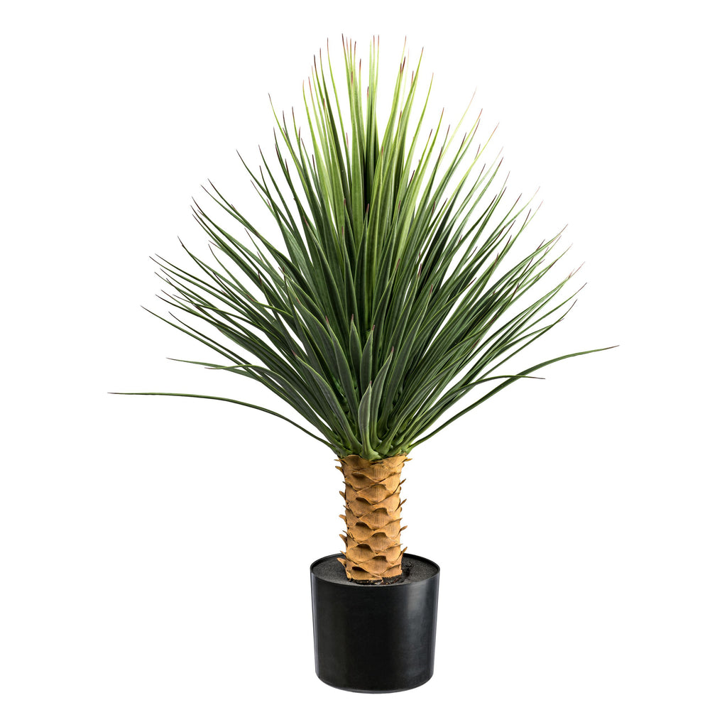 Yucca rostrata Stamm, ca 85cm gruen, im Kunststofftopf 16,5x14,5cm