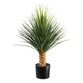Yucca rostrata Stamm, ca 85cm gruen, im Kunststofftopf 16,5x14,5cm