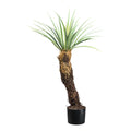 Yucca rostrata, ca 93cm graugruen, im Kunststofftopf 15x13cm, m.Erde